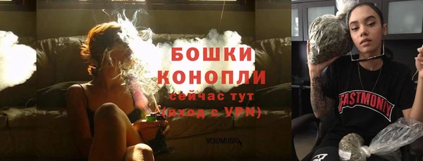 не бодяженный Переславль-Залесский