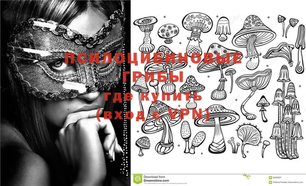 стафф Пестово